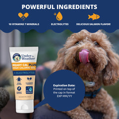 Gel poured onto dog food for a meal-time energy boost.