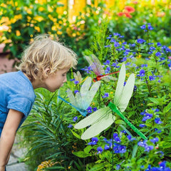 Colorful set brightens yard with eight vibrant hues.