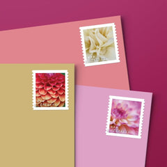 USPS Dahlias Forever pink dahlia close-up highlights vibrant color for invitations