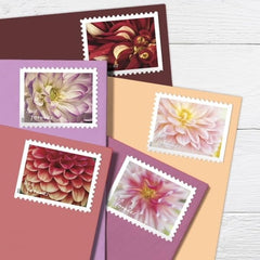 USPS Dahlias Forever stamps white close-up with delicate petals for elegant mail.