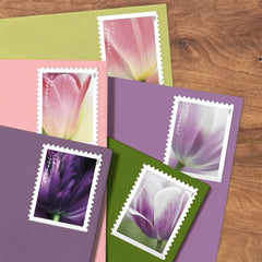 USPS Tulip Blossom design on stamp enhances spring envelopes