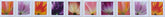 USPS Tulip Blossom Forever stamp 10-count strip for reliable first-class mail