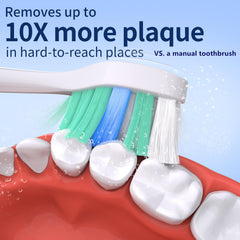 Blue-to-white bristle fade indicator helps prompt timely head replacement
