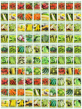 Valley Greene 100-pack heirloom seeds in a colorful seed pack for a thriving backyard garden.