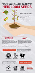 Valley Greene seeds storage tips highlight viability and sell-by dating for gardener planning.
