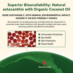 Astaxanthin ingredient symbol with VEETAGYO branding highlighting antioxidant content.