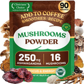 Venture Pal 16-in-1 Mushroom Powder bottle for daily immune and energy support.