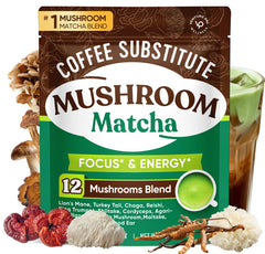 Venture Pal Mushroom Matcha powder bottle for daily focus and energy.