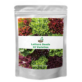 Verdant Vigor lettuce seeds collection packets for home gardening