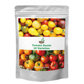 Verdant Vigor tomato seeds 1500-pack ready for home planting and abundant harvests