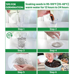 Verdant Vigor tomato seeds varieties Roma-San-Marzano-Marmande for flavorful sauces and salads