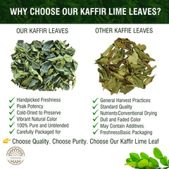 VERDIVIBE Kaffir lime leaves closeup showing vibrant texture and natural, pesticide-free quality.