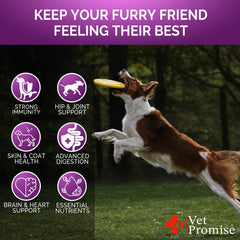 Vet Promise Omega-3 salmon oil chews closeup supports skin and coat health.