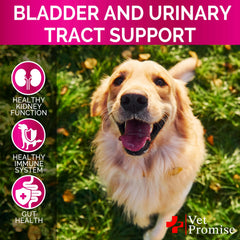 Vet Promise Dog UTI Chews jar label communicates quality and daily use.
