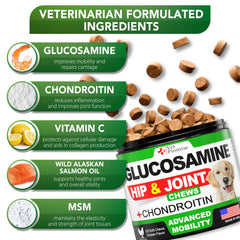 Vet Promise Glucosamine for Dogs ingredients panel highlights natural components for joint support.