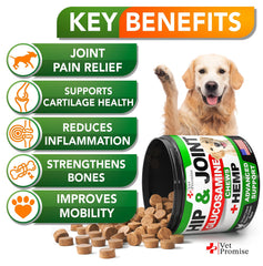 Vet Promise hip and joint supplement bottle label highlighting natural ingredients for mobility.