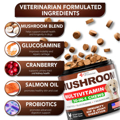 Vet Promise immune-support dog chews with probiotics for gut balance.