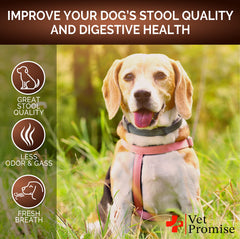 Enzyme-rich Vet Promise label emphasizes digestive support and nutrient absorption.