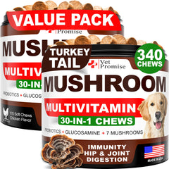 Vet Promise Turkey Tail dog mushroom chews promoting immune support.