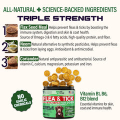 Vet Treat flea-tick chews dog chewing; tasty chicken flavor for daily protection.