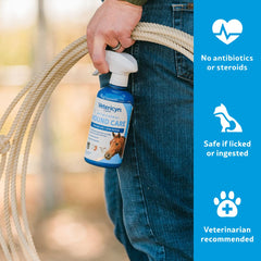 Vetericyn Plus Horse Wound Care Spray 16 oz bottle ready for home care