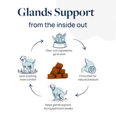 Veterinary Formula Anal Gland Support includes agave inulin to nourish gut bacteria.