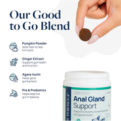 Veterinary Formula Anal Gland Support chews with ginger offer gentle digestive comfort.