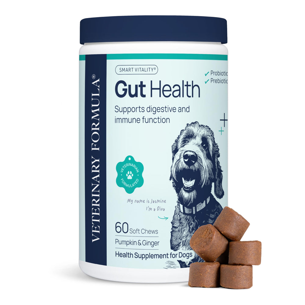 Veterinary Formula bouteille du complément sante intestinale pour chiens, pratique au quotidien.