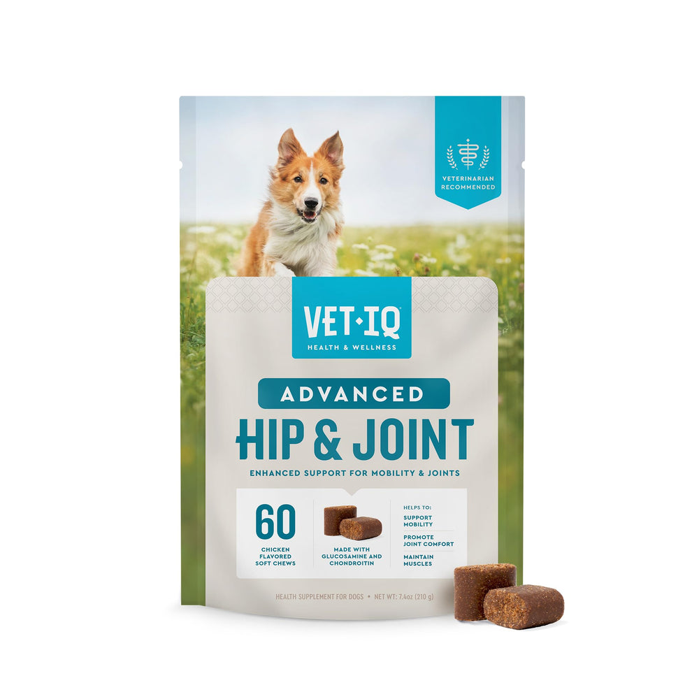 VetIQ Advanced Hip & Joint chews bottle shows mobility support for dogs.