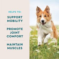 VetIQ glucosamine-chondroitin blend highlights connective tissue support for dogs.