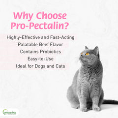 A dog with Pro-Pectalin tablet, easy administration during routine care.
