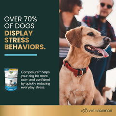 VetriScience Calm & Confident bottle label close-up highlighting calming blend for anxious dogs.
