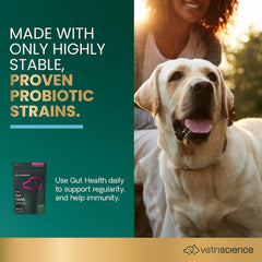 VetriScience Gut Health Chews duck-flavor treat promoting easy digestion.
