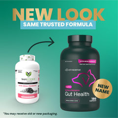 VetriScience gut health for dogs and cats use image showing daily probiotic for balanced digestion.