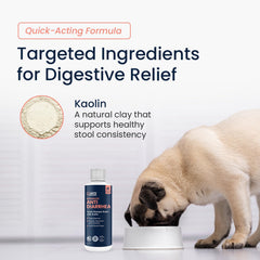 Vets Preferred liquid dog medicine 8oz bottle for convenient administration.