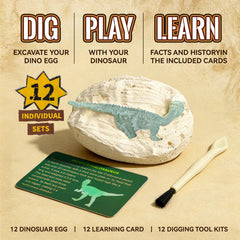 VICHTOP knowledge cards with dinosaur facts accompany each egg for hands-on learning.