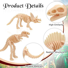 VICROIC dinosaur skeleton detail – realistic models ideal for display and educational activities.