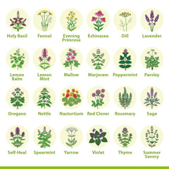 Close-up of seed packets from the Vimtoba kit highlighting heirloom varieties