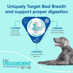 Virbac CET VeggieDent FR3SH packaging bag with 30 chews for a month of care
