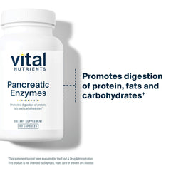 Digestive process illustration with Vital Nutrients Pancreatic Enzymes aiding fats and proteins