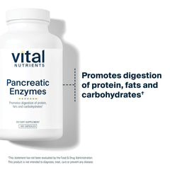 Vital Nutrients Pancreatic Enzymes label highlights clean, allergen-free formula