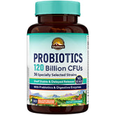 Vitalitown Probiotics bottle highlighting 120 Billion CFUs for digestive balance and immune support