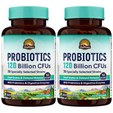 Vitalitown Probiotics 120Billion CFUs bottle supports daily gut balance