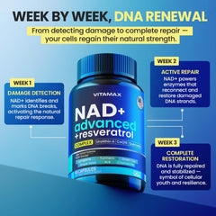 Vitamax urolithin-a absorption capsules showcase enhanced delivery.