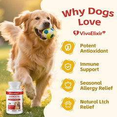 VivaElixir Quercetin and Bromelain dog tablets back label with dosage guidance.