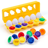 VUIYA Matching Eggs color pairs in a carton for color recognition play
