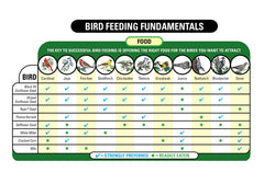 Bird feeding with Wagner's blend in a tube feeder for steady visits.