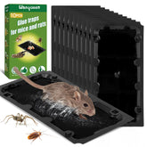 Wanqueen 10-pack sticky trap front view for indoor pest capture.