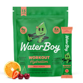 Waterboy Workout Hydration box pack shown for on-the-go electrolytes during workouts.