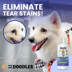 We Love Doodles Blueberry Facial Dog Shampoo brightens coat while remaining gentle.